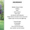 Abundance